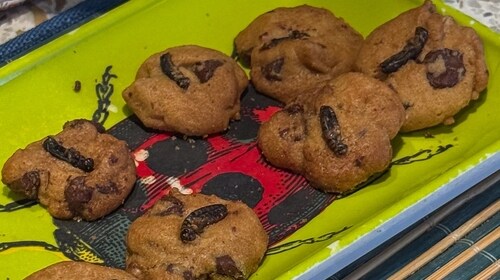 They look like ordinary cookies, but these are 'chocolate chirp', loaded with crickets. (Sonia Nazareth)