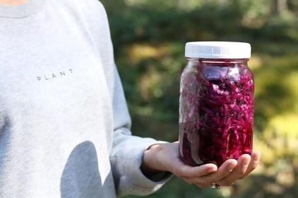 New study says sauerkraut does more than add tang, it could fight gut inflammation. (Image by ACTIVE VEGETARIAN) New study says sauerkraut does more than add tang, it could fight gut inflammation. (Image by ACTIVE VEGETARIAN)