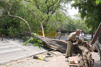 A tree near NITI Aayog Bhawan, on Sansad Marg in central Delhi, was found uprooted on Friday. (Photo: Sanjeev Verma/HT) A tree near NITI Aayog Bhawan, on Sansad Marg in central Delhi, was found uprooted on Friday. (Photo: Sanjeev Verma/HT)