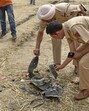 Security personnel inspect the debris of an unidentified projectile which landed amid the conflict between India and Pakistan, in Jalandhar, Punjab on Saturday. (PTI) Security personnel inspect the debris of an unidentified projectile which landed amid the conflict between India and Pakistan, in Jalandhar, Punjab on Saturday. (PTI)