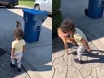 A video of a toddler gently petting a baby deer went viral. A video of a toddler gently petting a baby deer went viral.