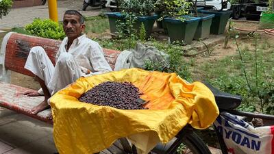 A seller of falsa is sitting on a public bench, beside his bicycle. (HT Photo) A seller of falsa is sitting on a public bench, beside his bicycle. (HT Photo)