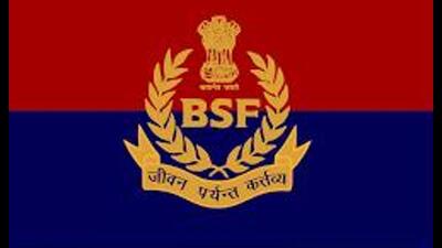 The BSF spokesperson said that preliminary investigations suggest the drone and pistol were sent from Pakistan. (HT File)