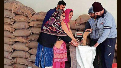The delay is significant as the state government had allocated a substantial 2.6 lakh metric tonnes (LMT) of wheat for Ludhiana on May 8, which is the largest allocation in the state, out of a total of 22.85 LMT across Punjab. (HT Photo) The delay is significant as the state government had allocated a substantial 2.6 lakh metric tonnes (LMT) of wheat for Ludhiana on May 8, which is the largest allocation in the state, out of a total of 22.85 LMT across Punjab. (HT Photo)