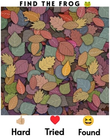 An optical illusion challenged users to spot a hidden frog among autumn leaves. (Facebook/Pamela Betalas Napalan)