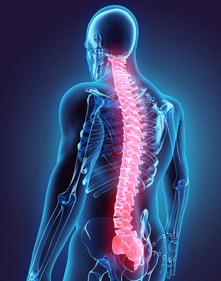 Back pain is recognised by WHO as the most common cause of disability globally. Back pain is recognised by WHO as the most common cause of disability globally.