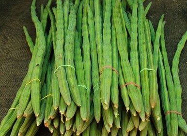 Drumstick also helps in detoxification of liver and kidney. It purifies blood and cures skin ailments. (Pinterest)