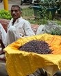A seller of falsa is sitting on a public bench, beside his bicycle. (HT Photo) A seller of falsa is sitting on a public bench, beside his bicycle. (HT Photo)