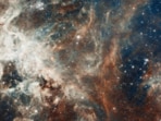 NASA