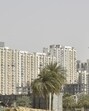 To resolve disputes, the Greater Noida authority will form an animal welfare committee including officials from the veterinary department, local police, animal welfare organisations, and the complainant along with RWA or AOA representatives. (HT archives) To resolve disputes, the Greater Noida authority will form an animal welfare committee including officials from the veterinary department, local police, animal welfare organisations, and the complainant along with RWA or AOA representatives. (HT archives)