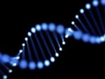 Spoan syndrome is a genetic mutation that progressively weakens the nervous system. Spoan syndrome is a genetic mutation that progressively weakens the nervous system.