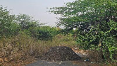 The site where garbage is being dumped in forest area of Mangar village. (Parveen Kumar/HT Photo)