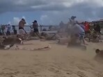 Tourists are seen at Maho Beach near the St Martin Airport. (X/@NoContextHumans)