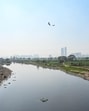 The affidavit had lacked crucial data on the functioning of sewage treatment plants (STPs), construction and demolition (C&D) waste management, and enforcement of environmental penalties against non-compliant industries. (Sunil Ghosh/HT Photo) The affidavit had lacked crucial data on the functioning of sewage treatment plants (STPs), construction and demolition (C&D) waste management, and enforcement of environmental penalties against non-compliant industries. (Sunil Ghosh/HT Photo)