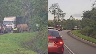 The elephant, in Malaysia, stood by the truck for hours. (Instagram/AJ Pyro) The elephant, in Malaysia, stood by the truck for hours. (Instagram/AJ Pyro)