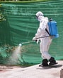 A worker sprays medicine at Kanpur zoo premises amid apprehensions of possible spread of bird flu, Wednesday, May 14 (PTI) A worker sprays medicine at Kanpur zoo premises amid apprehensions of possible spread of bird flu, Wednesday, May 14 (PTI)