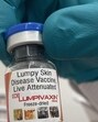 The vaccine— Biolumpivaxin— was launched during the Livestock Prosperity Conclave in Vijayawada. (File photo)