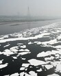 The worst readings were recorded downstream of the Shahdara drain, where the river is close to exiting Delhi. (HT Archive)