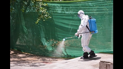 A worker sprays medicine at Kanpur zoo premises amid apprehensions of possible spread of bird flu, Wednesday, May 14 (PTI) A worker sprays medicine at Kanpur zoo premises amid apprehensions of possible spread of bird flu, Wednesday, May 14 (PTI)