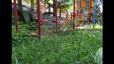 The app will be used by garden, civil, electrical, and security departments, and includes features like real-time attendance tracking, penalty alerts, and inventory management. (REPRESENTATIVE PHOTO)