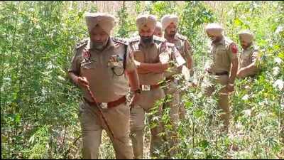 Upon receiving the information, DSP (City-2) Harsimran Singh Bal and the Sohana SHO Simran Singh arrived at the spot. The body was taken into custody and sent to the mortuary at the civil hospital in Phase 6, Mohali. A forensic team was also called to the site and collected samples from the scene. (HT Photo) Upon receiving the information, DSP (City-2) Harsimran Singh Bal and the Sohana SHO Simran Singh arrived at the spot. The body was taken into custody and sent to the mortuary at the civil hospital in Phase 6, Mohali. A forensic team was also called to the site and collected samples from the scene. (HT Photo)