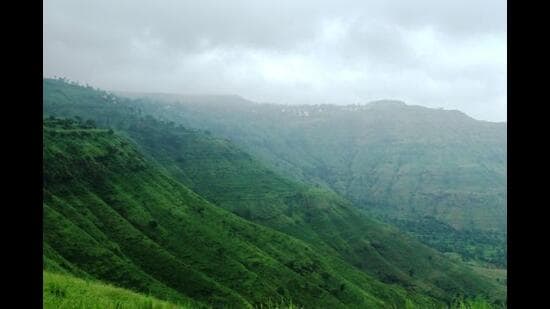 Mahabaleshwar had a branch of Treacher & Co in the early 1870s that stayed open during the summer months. It stocked exquisite china, wines, sherbets, jams, and canned fruit imported from Europe. (HT FILE)