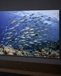 The Xiaomi X Pro QLED Series 2025 Edition television. (Official image.)
