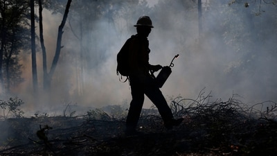 A brush fire erupted near Murrieta, California. (Representational Image/ Getty Images via AFP) A brush fire erupted near Murrieta, California. (Representational Image/ Getty Images via AFP)