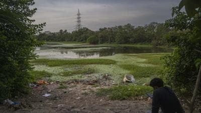 Mumbai, India - May 15, 2025: A view of the Lokhandwala lake, BMC will start cleaning Lokhandwala lake from tomorrow in Mumbai, India, on Thursday, May 15, 2025. (Photo by Satish Bate/ Hindustan Times) (Hindustan Times)