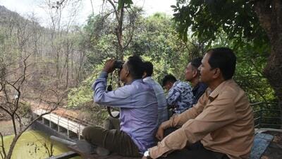 Waterhole census at karnala bird sanctuary on Buddha Purnima. (HT PHOTO) Waterhole census at karnala bird sanctuary on Buddha Purnima. (HT PHOTO)