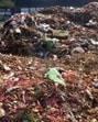 Ludhiana, India – April 05, 2025: A view of scattered garbage dump along with dry leaves at vacant land backside satpaul mittal school dugri in Ludhiana on Saturday, April 05, 2025. (Photo by Gurpreet Singh/Hindustan Times)