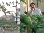 A Chennai couple, Sudarson and Vithiya, have been feeding birds for nearly 15 years. (X/@ANI, Screengrab)