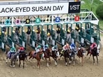 Jockeys charge out of the gate during a race on Black-Eyed Susan Day, kicking off the action ahead of the 150th Preakness Stakes at Pimlico Race Course.&nbsp;Emilee Chinn/Getty Images/AFP (Photo by Emilee Chinn / GETTY IMAGES NORTH AMERICA / Getty Images via AFP)