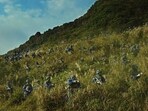 Is ‘Zero Day’ a Preview of Taiwan’s Future? Is ‘Zero Day’ a Preview of Taiwan’s Future?