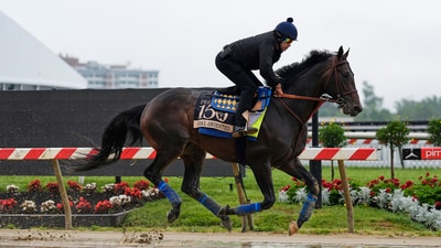 Preakness Stakes hopeful Goal Oriented trains at Pimlico Race Course. (AP Photo/Stephanie Scarbrough) (AP) Preakness Stakes hopeful Goal Oriented trains at Pimlico Race Course. (AP Photo/Stephanie Scarbrough) (AP)