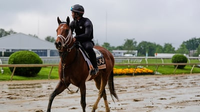 River Thames, a Preakness Stakes contender, trains at Pimlico Race Course. (AP Photo/Stephanie Scarbrough) (AP) River Thames, a Preakness Stakes contender, trains at Pimlico Race Course. (AP Photo/Stephanie Scarbrough) (AP)