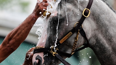 Preakness Stakes contender Sandman gets a post-workout bath at Pimlico Race Course. (AP Photo/Stephanie Scarbrough) (AP) Preakness Stakes contender Sandman gets a post-workout bath at Pimlico Race Course. (AP Photo/Stephanie Scarbrough) (AP)
