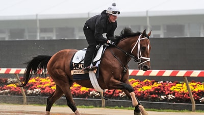 Journalism, the morning-line favourite for the 2025 Preakness Stakes, was seen working out at Pimlico Race Course. (AP Photo/Stephanie Scarbrough) (AP) Journalism, the morning-line favourite for the 2025 Preakness Stakes, was seen working out at Pimlico Race Course. (AP Photo/Stephanie Scarbrough) (AP)