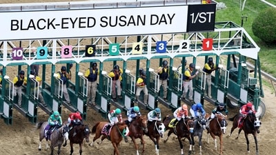 Jockeys charge out of the gate during a race on Black-Eyed Susan Day, kicking off the action ahead of the 150th Preakness Stakes at Pimlico Race Course. Emilee Chinn/Getty Images/AFP (Photo by Emilee Chinn / GETTY IMAGES NORTH AMERICA / Getty Images via AFP) (Getty Images via AFP) Jockeys charge out of the gate during a race on Black-Eyed Susan Day, kicking off the action ahead of the 150th Preakness Stakes at Pimlico Race Course. Emilee Chinn/Getty Images/AFP (Photo by Emilee Chinn / GETTY IMAGES NORTH AMERICA / Getty Images via AFP) (Getty Images via AFP)