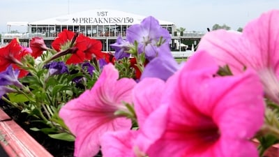 The 150th Preakness Stakes at Pimlico Race Course in Baltimore on May 17, 2025, marks the final race at the historic venue before its planned $400 million reconstruction. The Maryland Board of Public Works approved a $14.3 million contract to begin demolition shortly after the event, with the Preakness scheduled to temporarily relocate to Laurel Park in 2026 before returning to a newly rebuilt Pimlico in 2027, as reported by AP News.Emilee Chinn/Getty Images/AFP (Photo by Emilee Chinn / GETTY IMAGES NORTH AMERICA / Getty Images via AFP) (Getty Images via AFP) The 150th Preakness Stakes at Pimlico Race Course in Baltimore on May 17, 2025, marks the final race at the historic venue before its planned $400 million reconstruction. The Maryland Board of Public Works approved a $14.3 million contract to begin demolition shortly after the event, with the Preakness scheduled to temporarily relocate to Laurel Park in 2026 before returning to a newly rebuilt Pimlico in 2027, as reported by AP News.Emilee Chinn/Getty Images/AFP (Photo by Emilee Chinn / GETTY IMAGES NORTH AMERICA / Getty Images via AFP) (Getty Images via AFP)