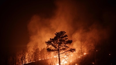 Representational Image (AFP)
