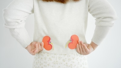 Prevent renal diseases by having the right foods. (Shutterstock) Prevent renal diseases by having the right foods. (Shutterstock)