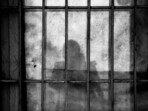 A trap was set in the early hours of 15 May, leading to the arrest of the main suspect. A trap was set in the early hours of 15 May, leading to the arrest of the main suspect.
