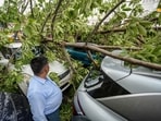 A view of an uprooted tree on PVR: Plaza-CP, following heavy thunderstorms and showers in Delhi on Saturday, May 17. A view of an uprooted tree on PVR: Plaza-CP, following heavy thunderstorms and showers in Delhi on Saturday, May 17.