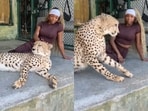 A woman’s close encounter with a cheetah went viral. A woman’s close encounter with a cheetah went viral.