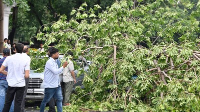 Delhi also faced the impact of the storm. In Connaught Place, a tree was uprooted near the PVR Plaza cinema and fell on vehicles after the heavy rain and thunderstorms. (RAJ K RAJ /HT PHOTO)