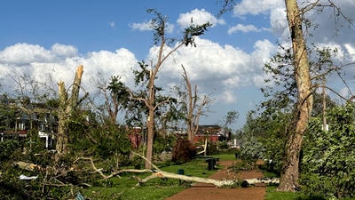 Damaged and fallen trees are seen in St. Louis, Missouri, on Friday, May 16, 2025 when severe storms, including a possible tornado, swept through the city. (AP Photo/Michael Phillis) (AP) Damaged and fallen trees are seen in St. Louis, Missouri, on Friday, May 16, 2025 when severe storms, including a possible tornado, swept through the city. (AP Photo/Michael Phillis) (AP)