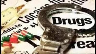 Special DGP (law and order) Arpit Shukla said over 250 police teams conducted raids at 516 locations across Punjab on Saturday. (HT File)