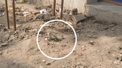 The grenade-like object that triggered panic in the Focal Point area of Batala, 30km from the international border, in Gurdaspur district on Saturday.