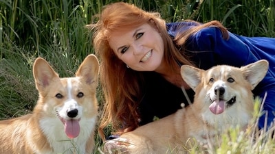 Sarah Ferguson, the Duchess of York, expressed her connection to Queen Elizabeth through the late monarch's corgis. (Instagram/sarahferguson15) Sarah Ferguson, the Duchess of York, expressed her connection to Queen Elizabeth through the late monarch's corgis. (Instagram/sarahferguson15)